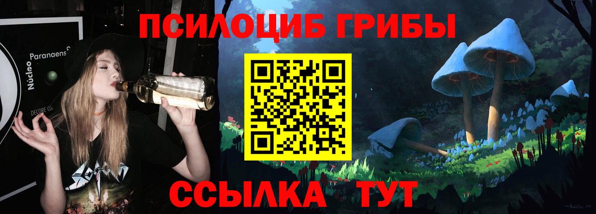 Канск  Галлюциногенные грибы мицелий  Вход с VPN  Псилоцибиновые грибы GOLDEN TEACHER 